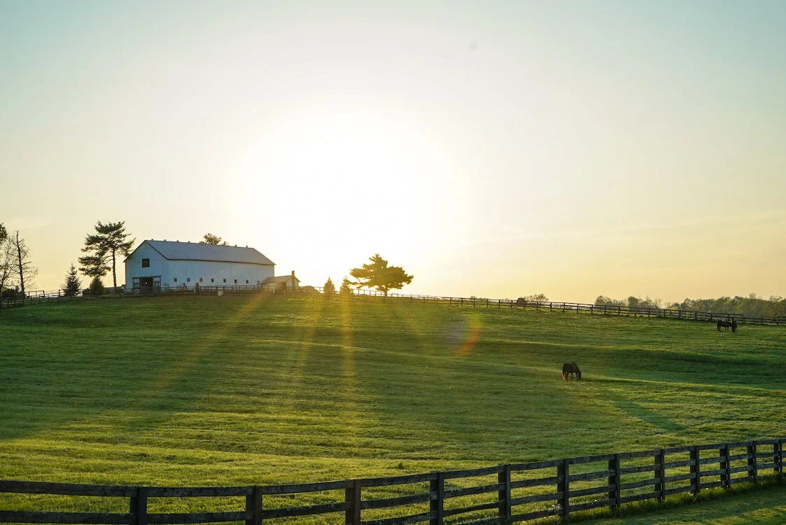 Drug Rehab in Kentucky